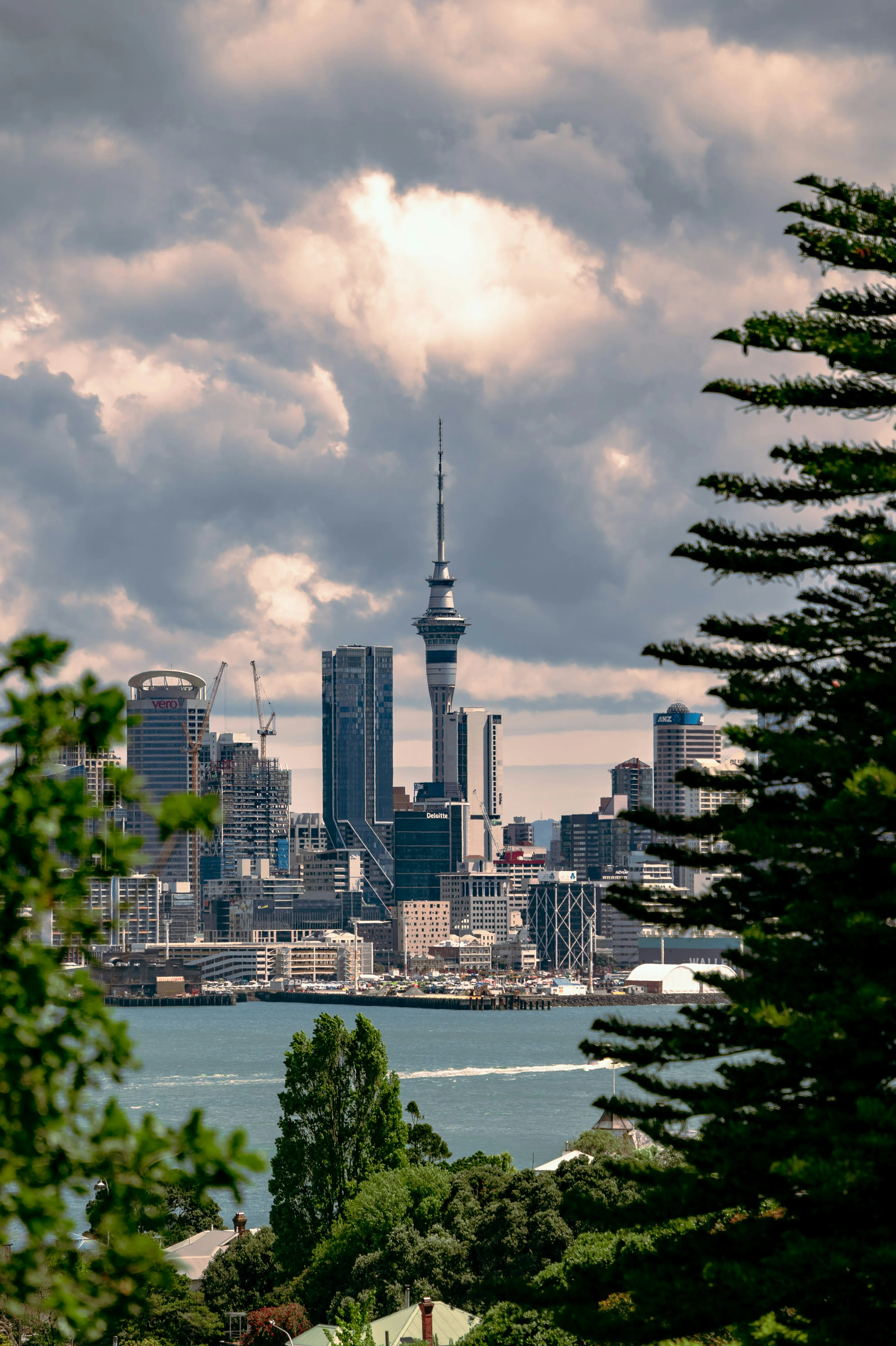 Auckland skyline with the Sky Tower