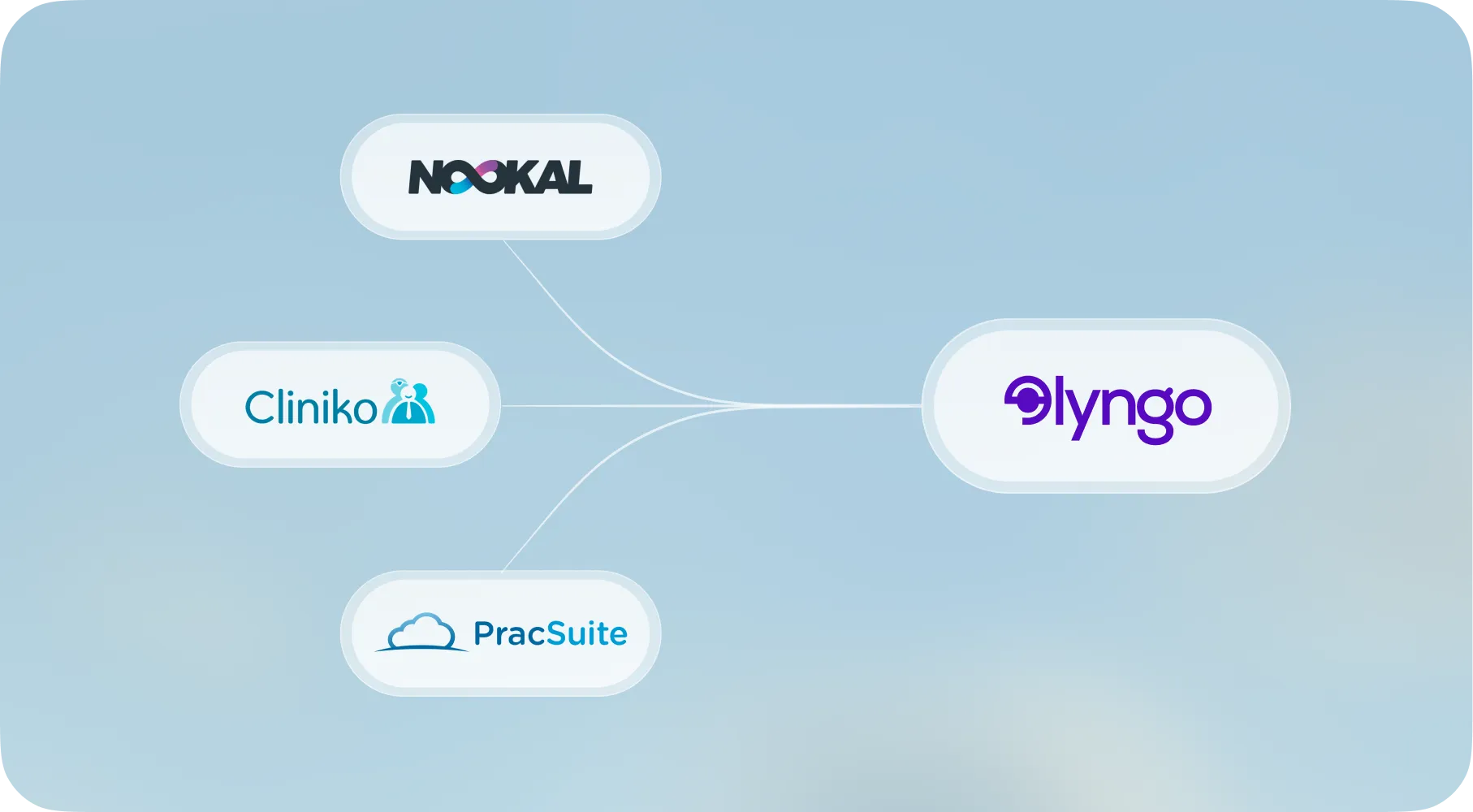 Lyngo connected to practice management software